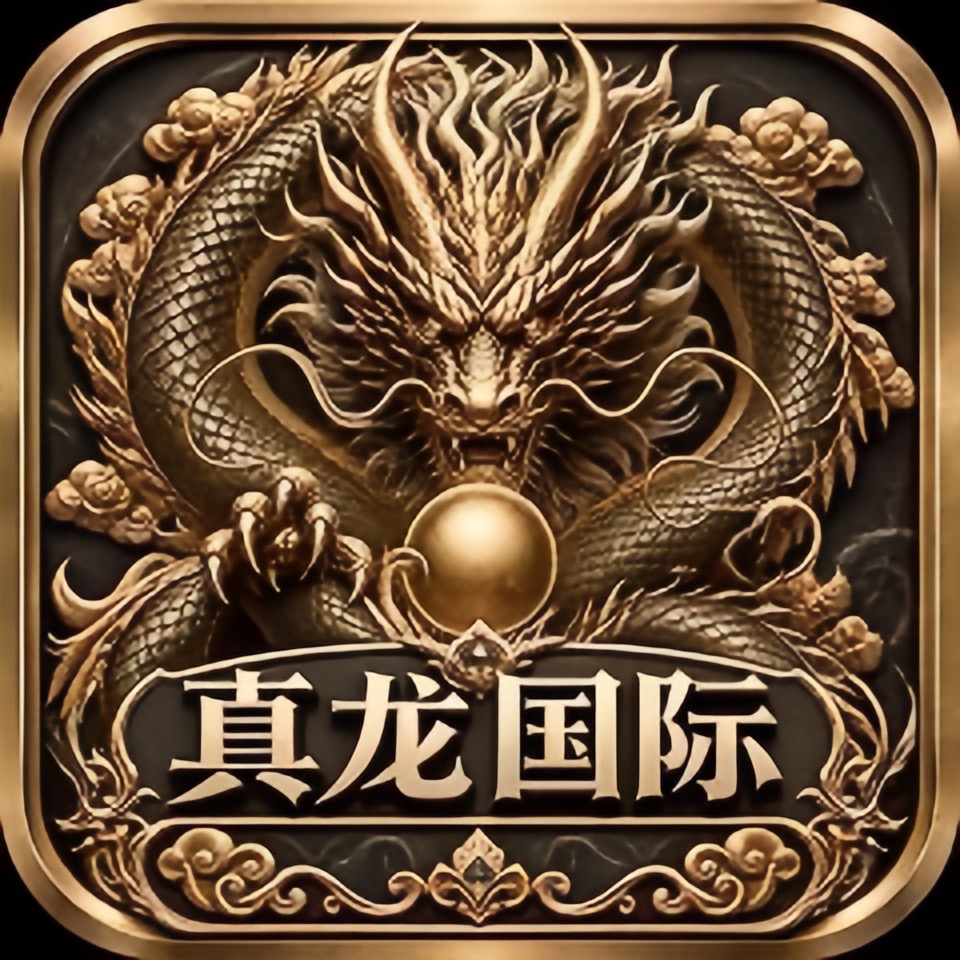 真龙国际